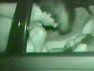 Jap Outdoor Car Fuck with a View - XXX Nippon Porn